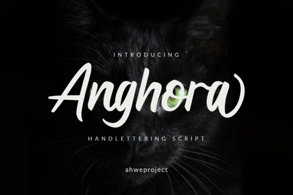Anghora: The Classy Dry Brush Script for Makers