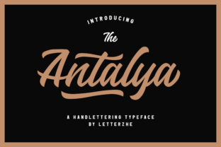 Antalya: The Script Font That Elevates Small Business Branding