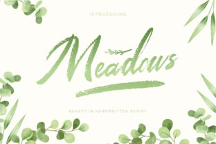Designing a Brand Identity with Meadows Script Font
