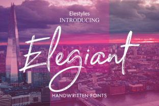 Elevate Campaigns with Elegiant Script Font