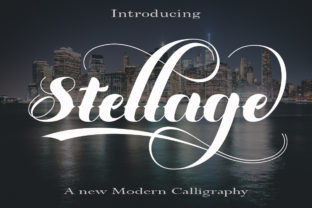 Elevate Web Design with Stellage Script Font