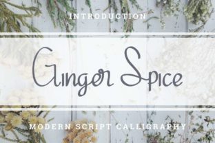 How Ginger Spice Font Transforms Small Business Branding
