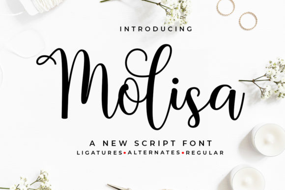 Molisa: The Playful Script Font for Authentic Branding