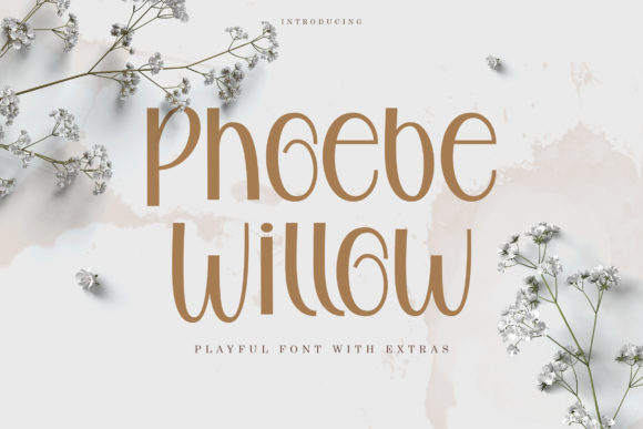 Phoebe Willow: The Script Handwritten Font for Campaigns