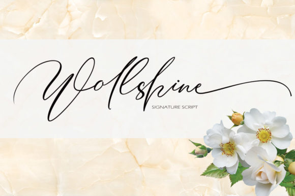 Wollshine Font: Modern Script for Brand Identity